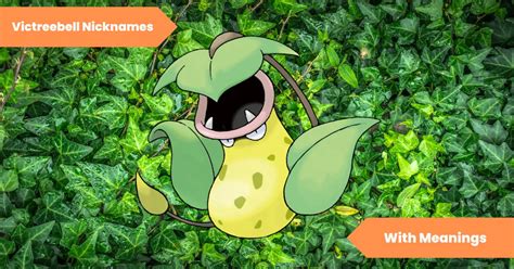 victreebel pokémon evolution|victreebel nicknames.